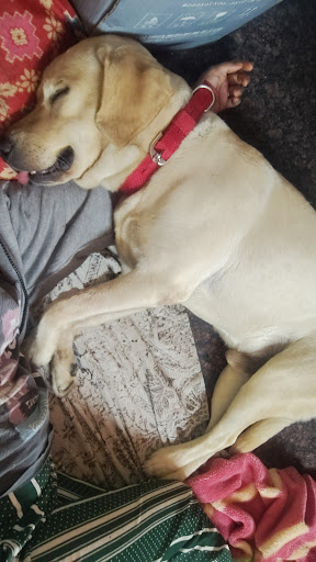 Photo from customer review