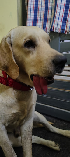 Photo from customer review