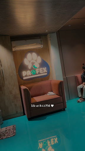 Photo from customer review