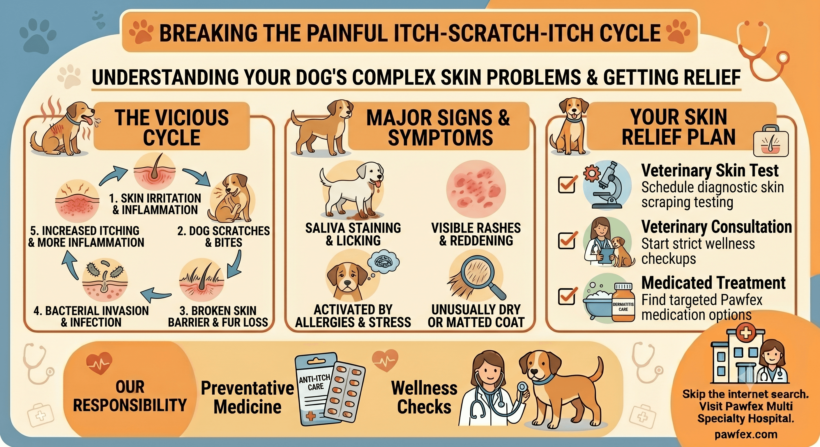 Dog Skin Problems: Breaking the Painful Itch-Scratch-Itch Cycle