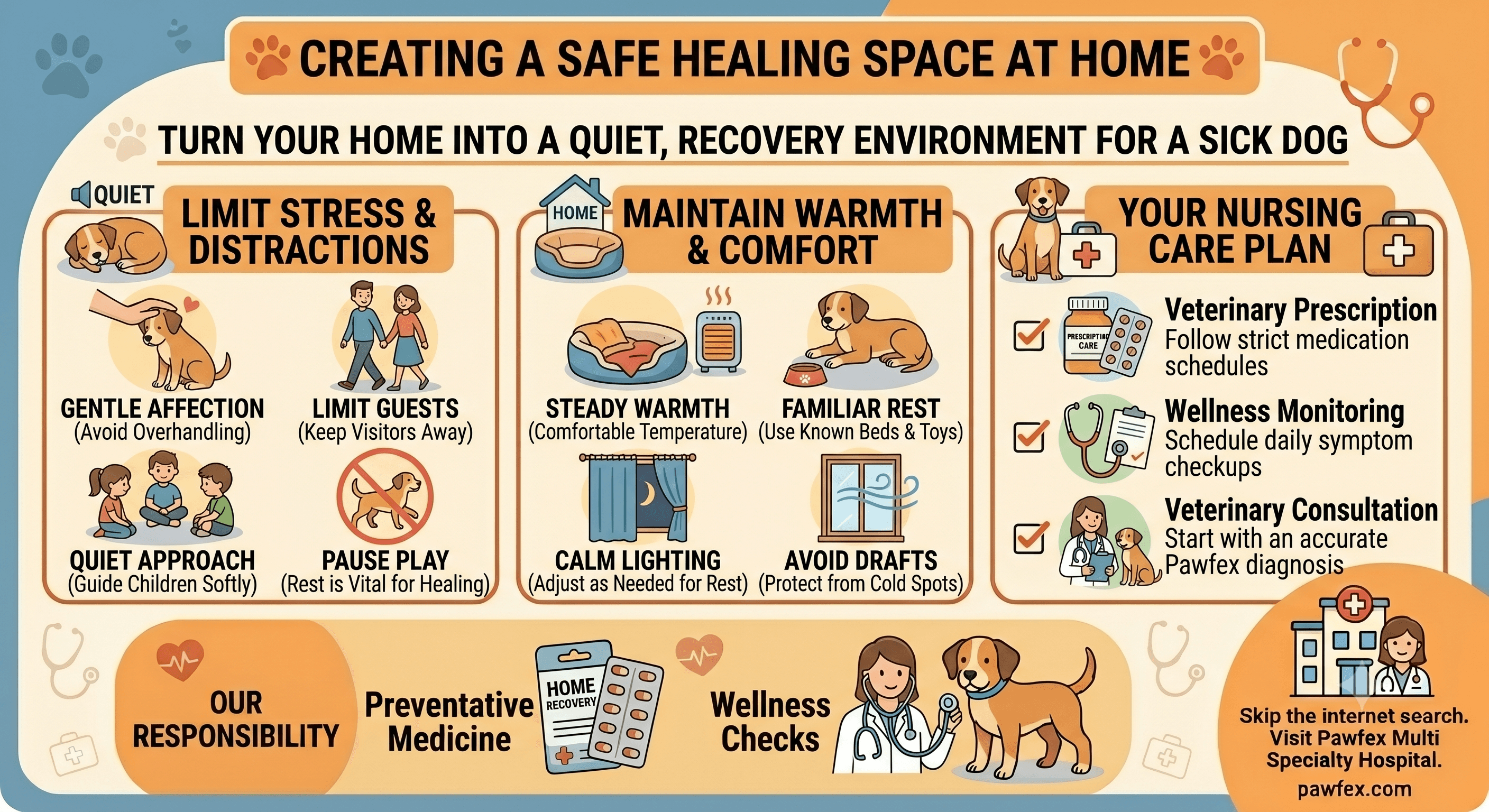 How to Turn Your Home into a Safe Healing Space for a Sick Dog