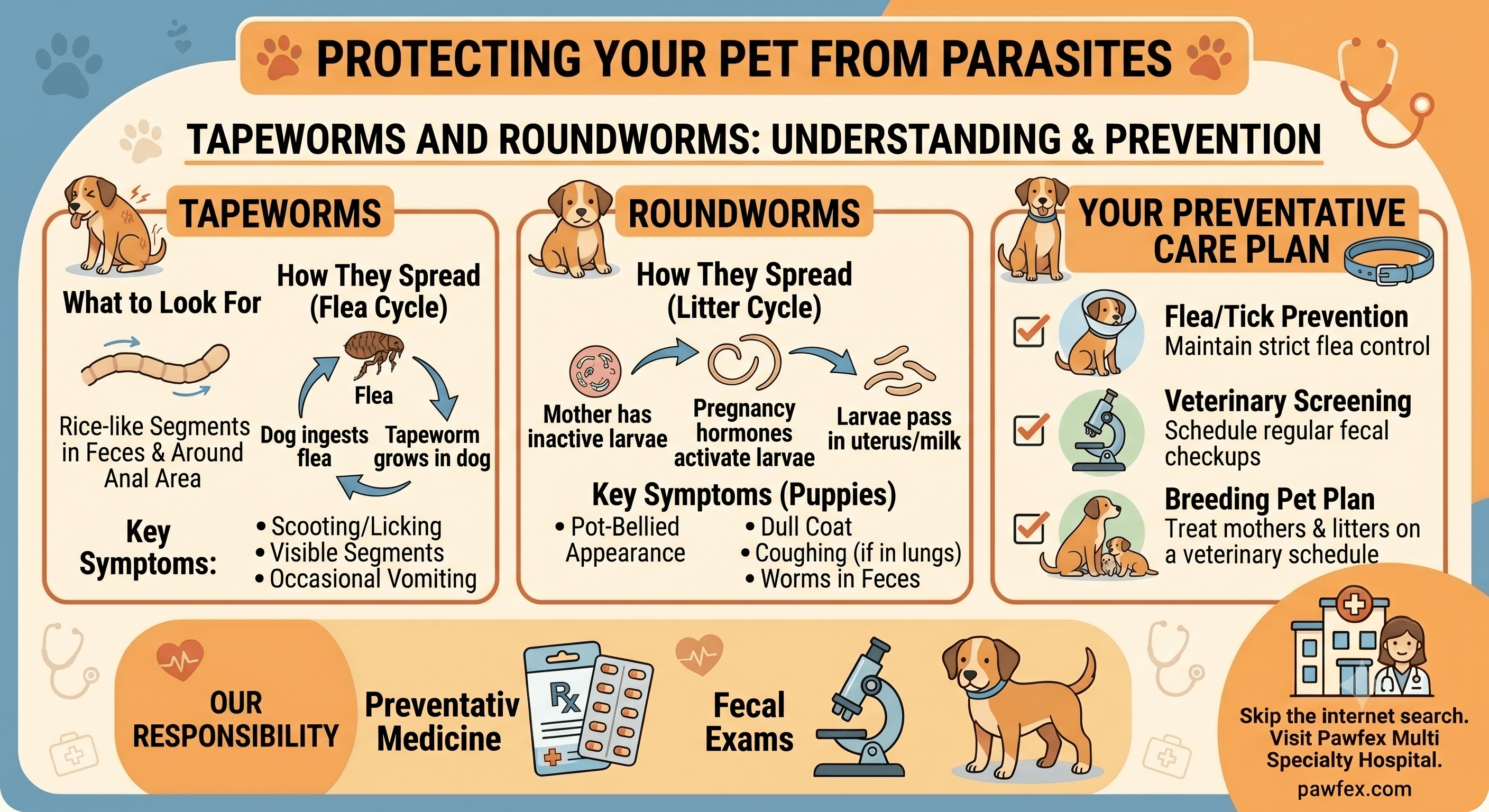 Tapeworms and Roundworms: Protecting Your Pet from Parasites