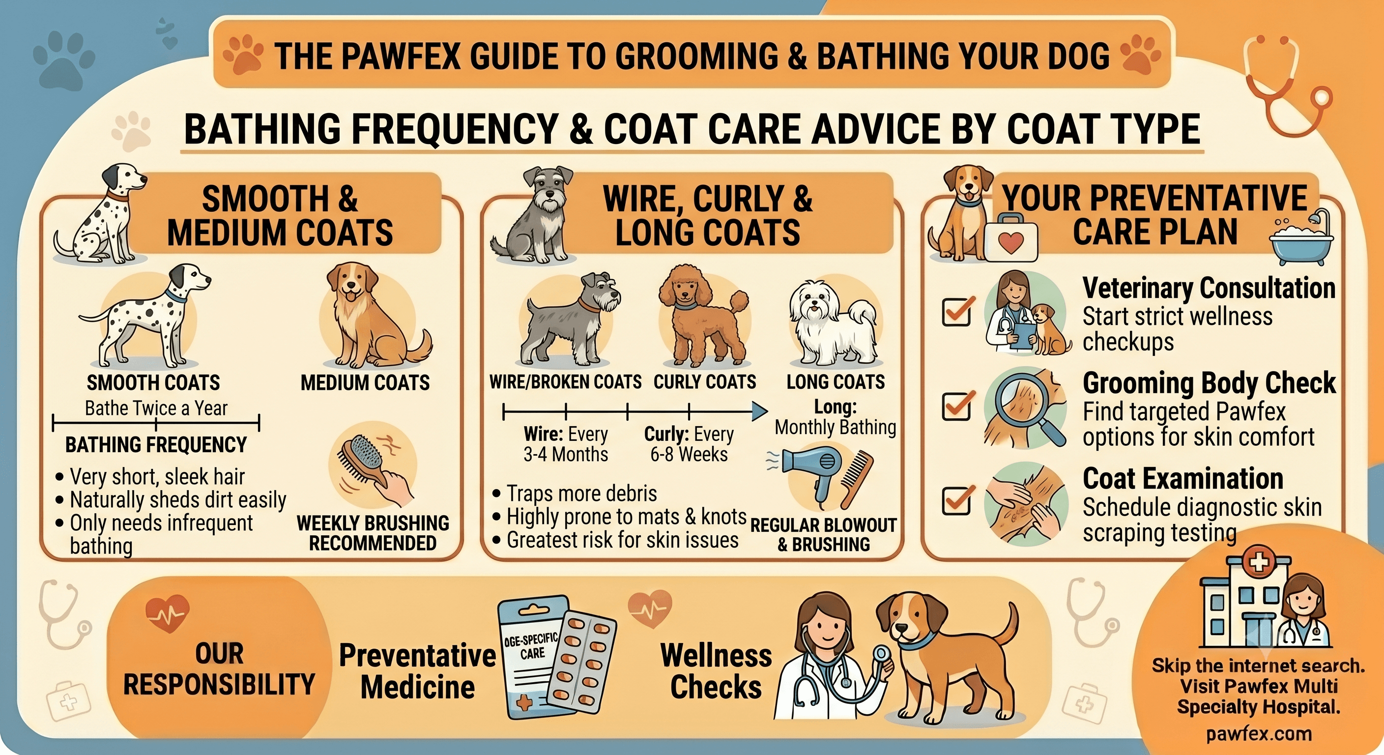 5 Simple Ways to Prevent Painful Dog Ear Infections