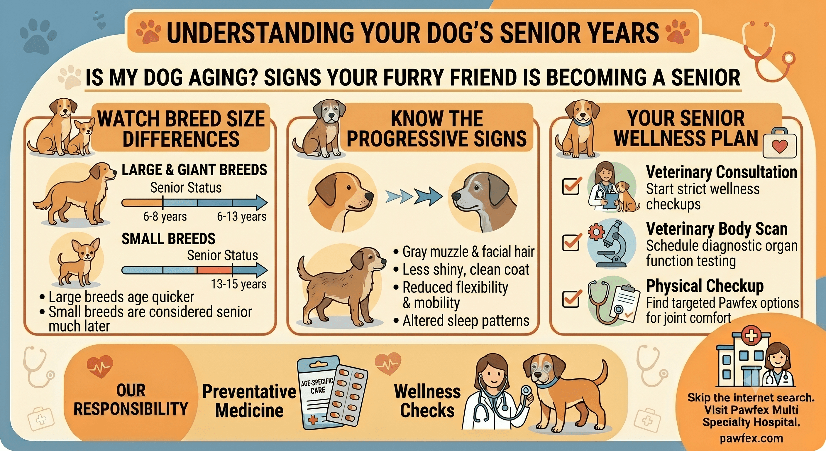 How Old Is My Dog? Signs Your Furry Friend is Becoming a Senior